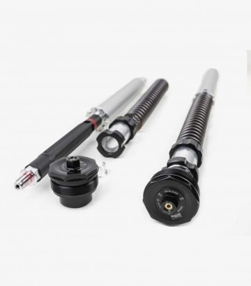 Cartucho Horquilla Öhlins para Harley-Davidson FLTRXSE CVO ROAD Glide Custom (23-24) FKS 527