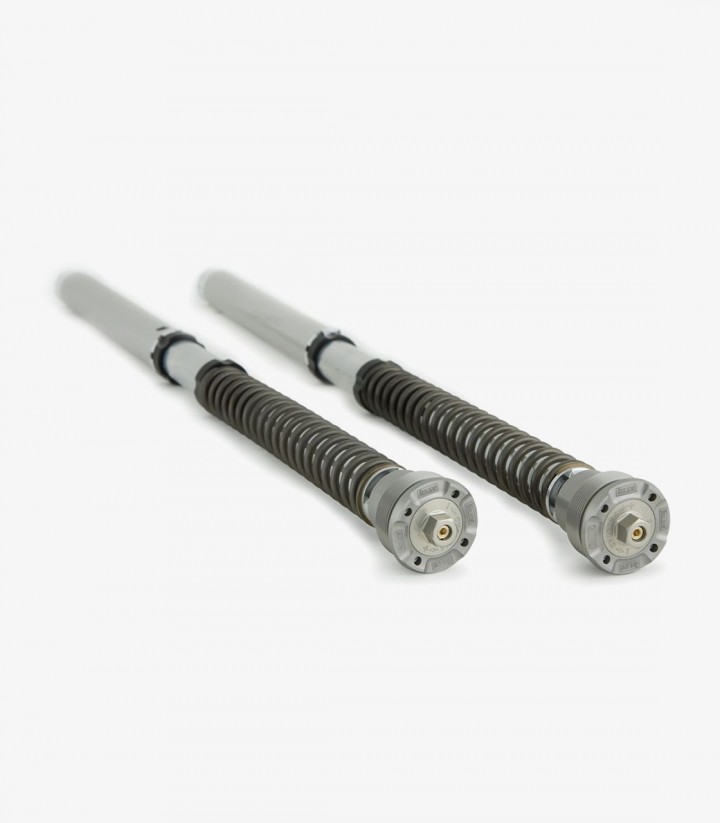 Cartucho Horquilla Öhlins para Suzuki GSX-8S (24-25) FKS 528