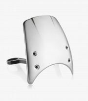 Cúpula Rizoma BMW R nineT 1200 Pure (17-24), BMW R nineT 1200 Scrambler (16-24) Plata ZBW081A