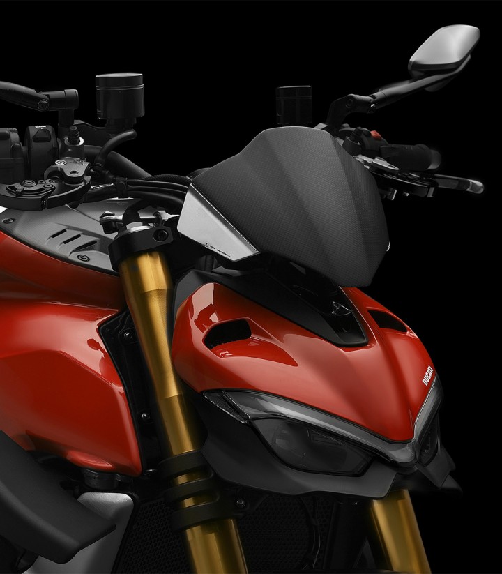 Rizoma Windschild Ducati Streetfighter V4 (20-24) Silber und Carbon ZDM149AK