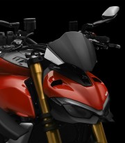 Cúpula Rizoma Ducati Streetfighter V4 / S / SP (21-24) Plata y Carbono ZDM149AK