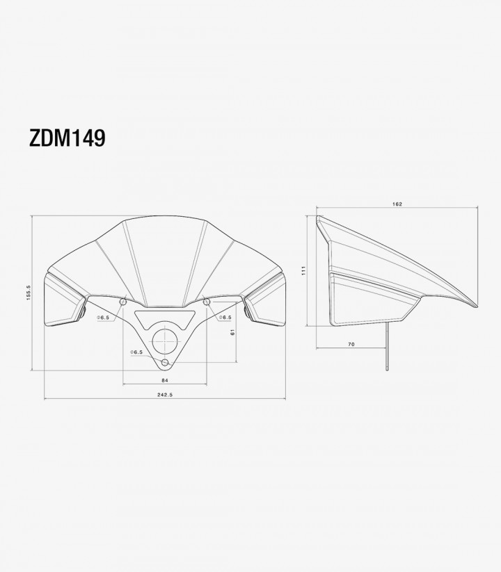 Rizoma Windschild Ducati Streetfighter V4 (20-24) Silber und Carbon ZDM149AK
