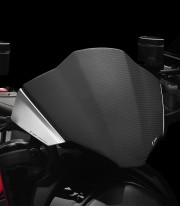 Cúpula Rizoma Ducati Monster 937 / + / SP (21-25) Plata y Carbono ZDM150AK