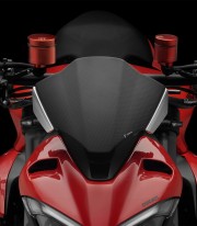 Rizoma Windshield in Silver & Carbon Ducati Streetfighter V2 / 955 Green (22-24) ZDM159AK