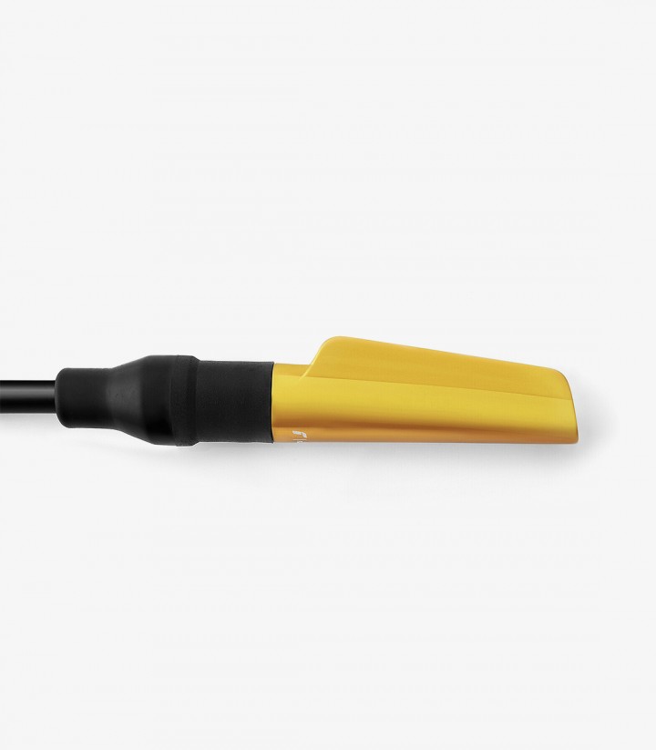 Rizoma Blinker Corsa (1 Funktion) Gold TS110G