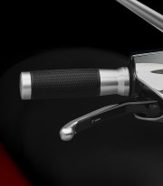 Rizoma Urlo Grips Silver GR256A