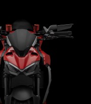 Rizoma Stealth Black Mirrors BSN010B