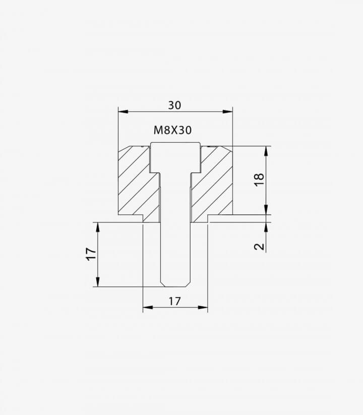 Adapter-Set Spiegel Lenkerendgewicht Puig 9850Nx2 für BMW G310GS (21-26), G310R (16-26)