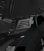 Rizoma Black Horizontal Valve Cover Guard for Ducati Monster 937 / + / SP / 30° Anniversario / Senna (21-25) ZDM151B