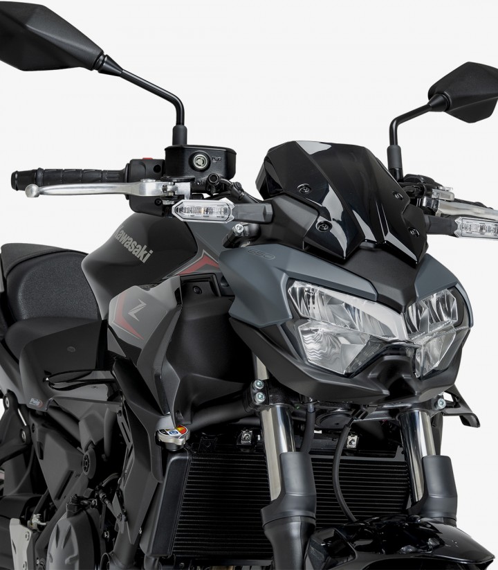 Winglets seitlich D12 22472N Puig Kawasaki Z650 (20-26) Schwarz