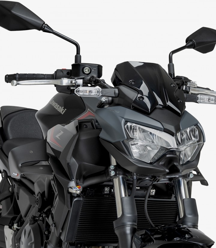 Winglets seitlich D12 22472J Puig Kawasaki Z650 (20-26) Mattschwarz