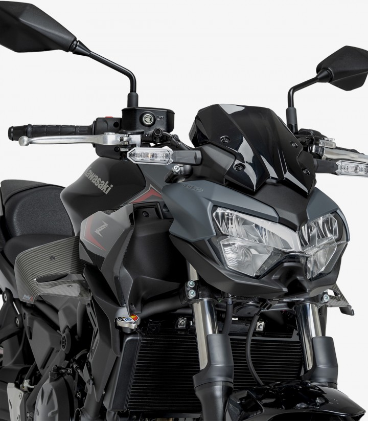 Winglets seitlich D12 22472C Puig Kawasaki Z650 (20-26) Carbon-Optik