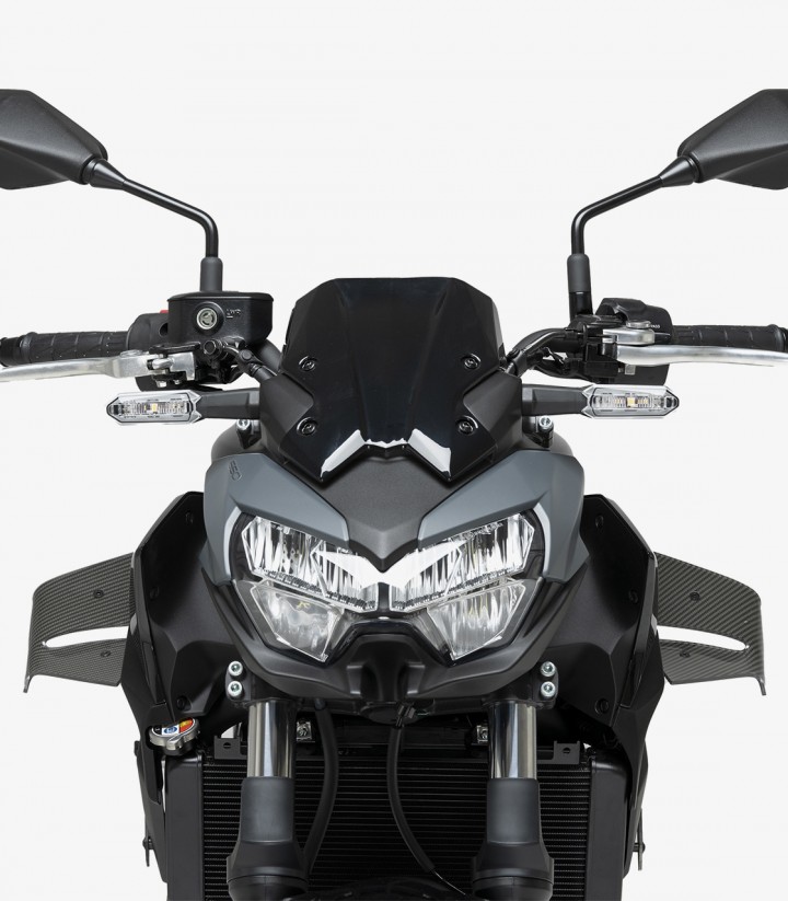 Winglets seitlich D12 22472C Puig Kawasaki Z650 (20-26) Carbon-Optik