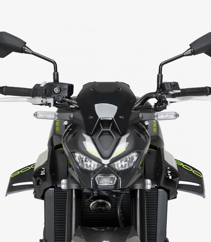 Winglets seitlich D12 22445S Puig Kawasaki Z900 (25-26) Graphics