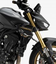 Alerones laterales D12 22384S Puig Honda CB1000 Hornet / SP (25) Graphics