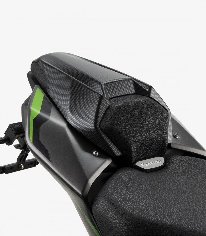 Heckhöcker Kawasaki Z900 (25-26) Puig Carbon-Optik 22443C