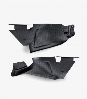 Deflectores Posteriores Puig BMW R1300GS (23-26) Símil Carbono 22430C