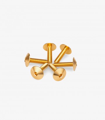 Kit 6 Tornillos M5x20 con Cabeza Ø13,9mm Dorado Puig 21766O