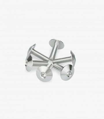 Kit 6 Tornillos M6x20 con Cabeza Ø16,8mm Plateado Puig 21765P