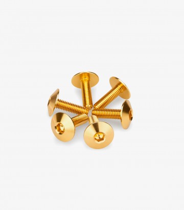 Puig 6 M6x20 Screws Kit with Ø16.8 mm Head in Gold 21765O