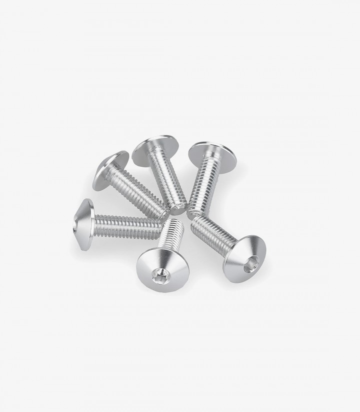 Kit 6 Schrauben M6x20 mit Kopf Ø 13,9 mm Silber Puig 21764P
