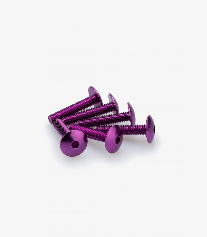Blister mit 6 Linsenkopfschrauben M6x30 mm in Lila Puig 3995L
