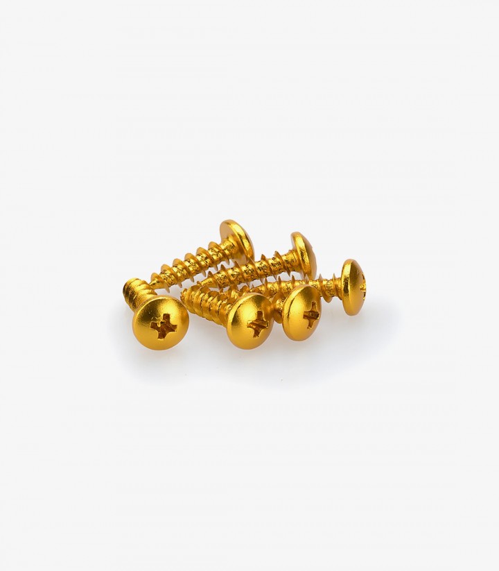 Blister 6 Tornillos Rosca Plancha Abombados M6x20mm Amarillo Puig 2542G