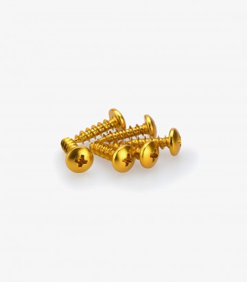 Blister 6 Tornillos Rosca Plancha Abombados M6x20mm Amarillo Puig 2542G