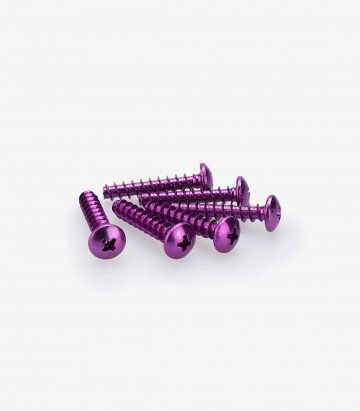 Blister mit 6 Blechschrauben mit Linsenkopf M6x30 mm in Lila Puig 2543L