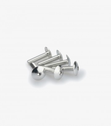 Puig 6 M6x25mm Domed Screws in Silver 0689P