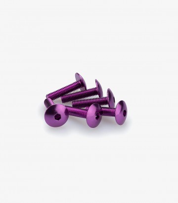 Blister mit 6 Linsenkopfschrauben M6x25 mm in Lila Puig 0689L