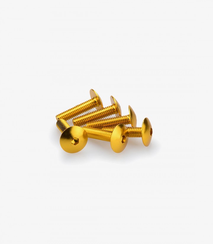 Blister 6 Tornillos Abombados M6x25mm Amarillo Puig 0689G