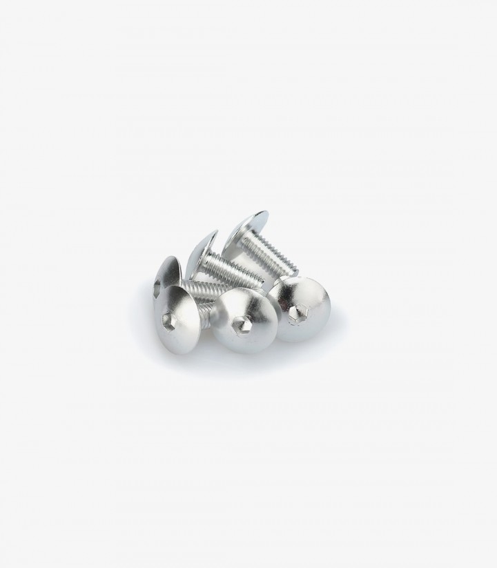 Blister mit 6 Linsenkopfschrauben M5x15 mm in Silber Puig 0611P