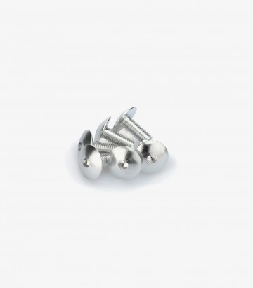 Blister 6 Tornillos Abombados M5x15mm Plateado Puig 0611P