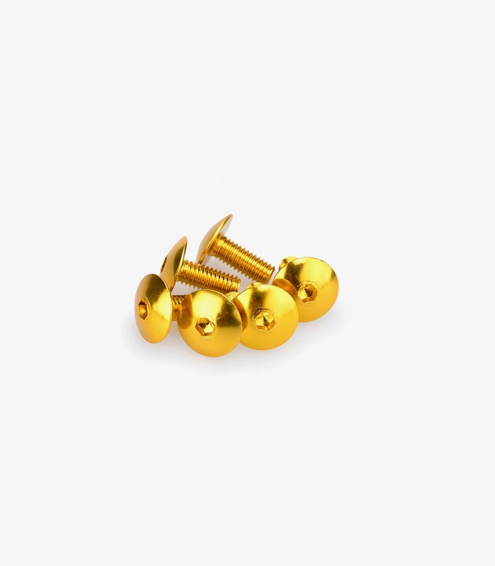 Blister 6 Tornillos Abombados M5x15mm Amarillo Puig 0611G