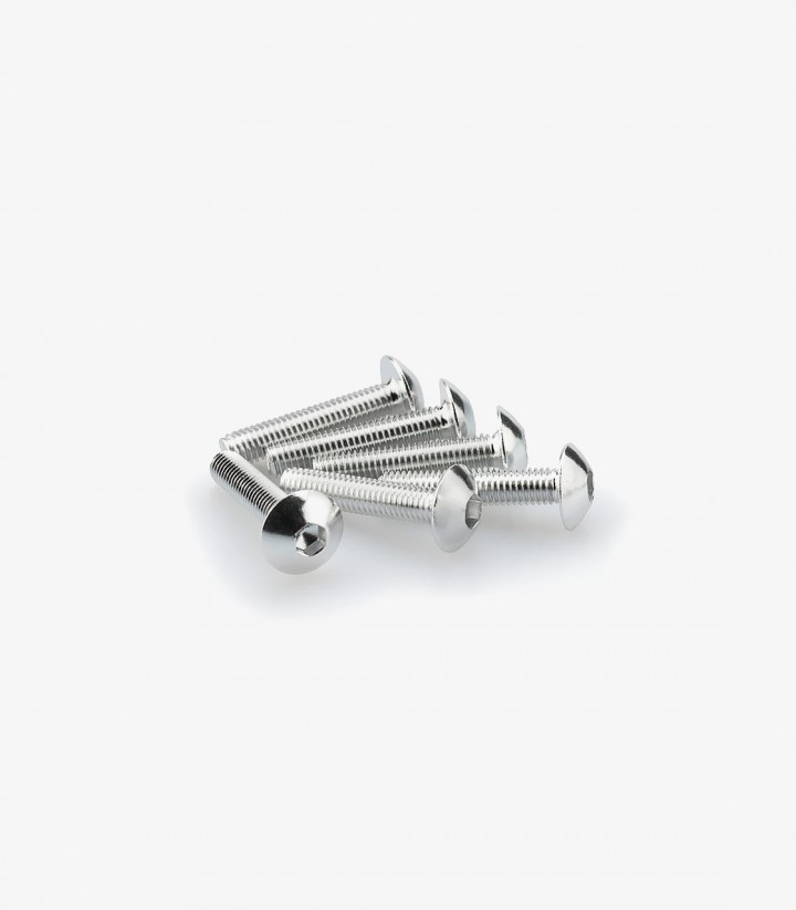 Blister 6 Tornillos Abombados M5x25mm Plateado Puig 0610P
