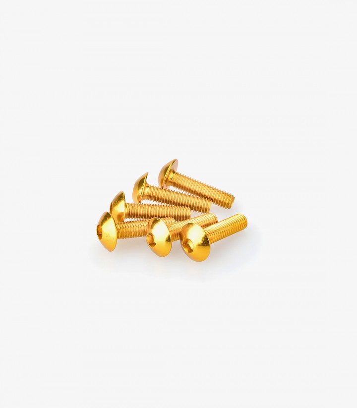 Blister 6 Tornillos Abombados M5x20mm Amarillo Puig 0550G