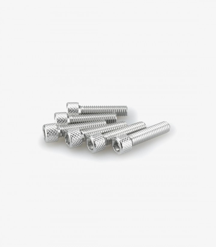 Blister mit 6 Inbusschrauben M6x25 mm in Silber Puig 0544P