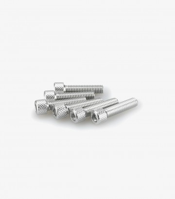 Blister mit 6 Inbusschrauben M6x25 mm in Silber Puig 0544P