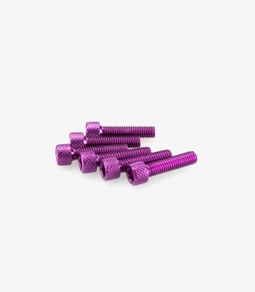 Blister mit 6 Inbusschrauben M6x25 mm in Lila Puig 0544L