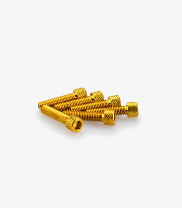 Blister mit 6 Inbusschrauben M6x25 mm in Gelb Puig 0544G