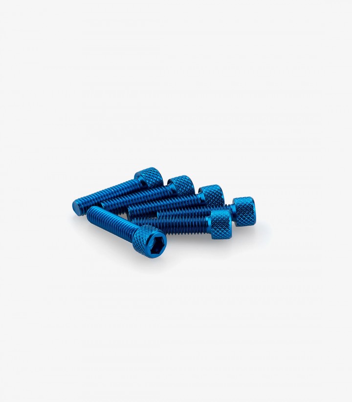 Blister mit 6 Inbusschrauben M6x25 mm in Blau Puig 0544A