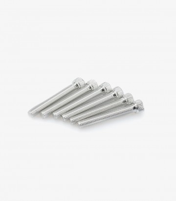 Blister mit 6 Inbusschrauben M8x55 mm in Silber Puig 0540P