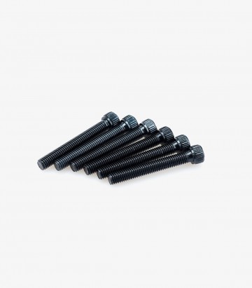 Blister mit 6 Inbusschrauben M8x55 mm in Schwarz Puig 0540N