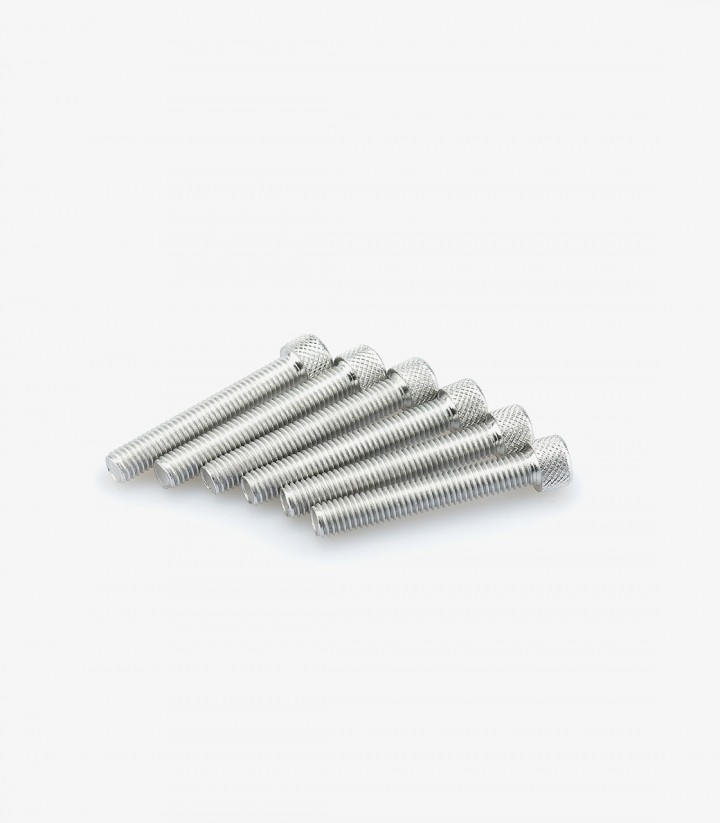 Blister mit 6 Inbusschrauben M8x50 mm in Silber Puig 0524P