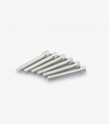 Blister 6 Tornillos Allen M8x50mm Plateado Puig 0524P