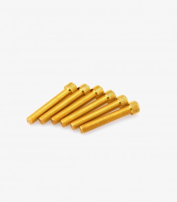 Blister 6 Tornillos Allen M8x50mm Amarillo Puig 0524G