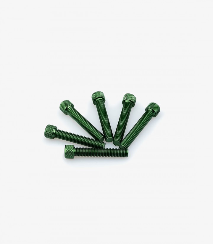Blister mit 6 Inbusschrauben M8x45 mm in Grün Puig 0516V