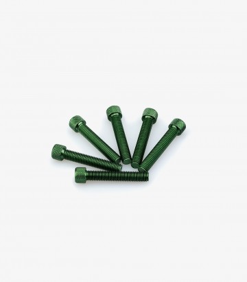 Blister 6 Tornillos Allen M8x45mm Verde Puig 0516V