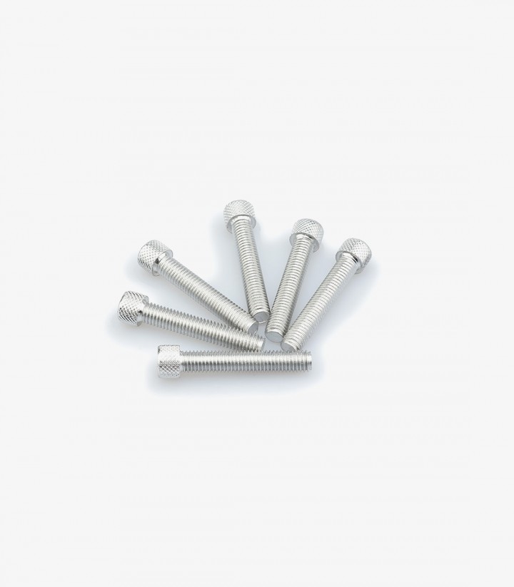 Blister mit 6 Inbusschrauben M8x45 mm in Silber Puig 0516P